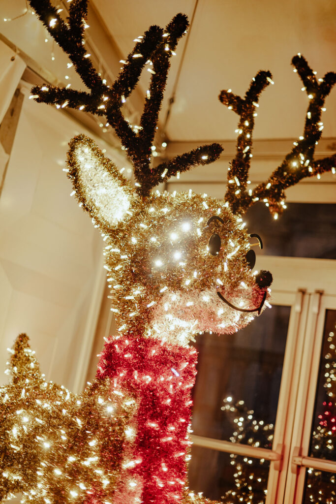 SiliquiniLaura-Wintertaverne-Breda-20241213-8605